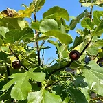 Appartement Avec Terrasse