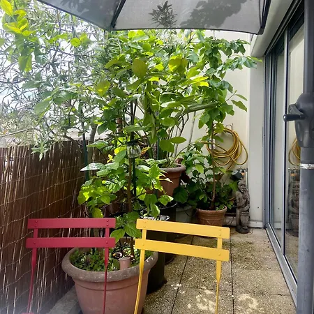Avec Terrasse Parigi